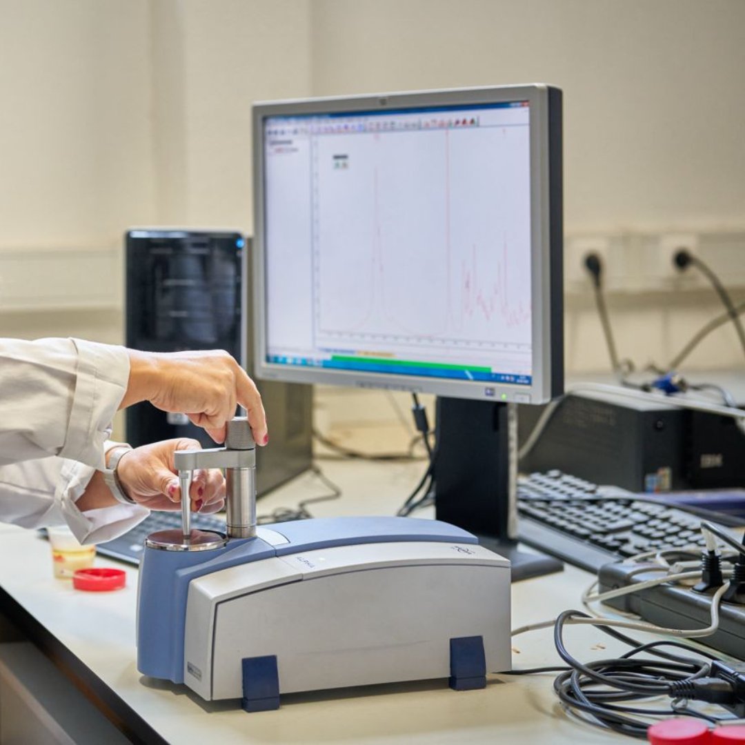 CEF - Centro de Estudos Florestais tweet media