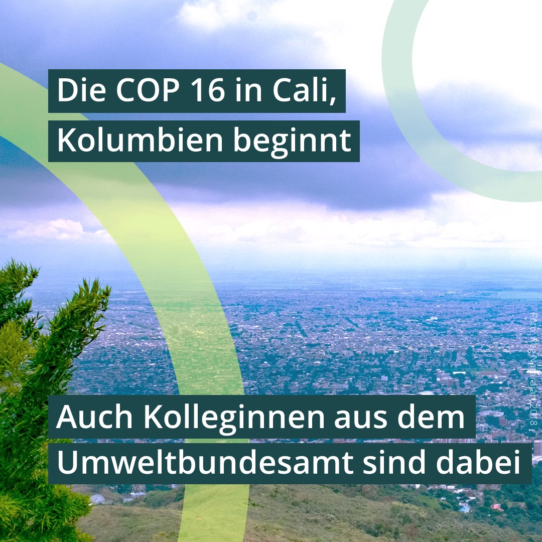 🌱Die 16. Vertragsparteienkonferenz der Biodiversitätskonvention findet vom 21.10. Bis 1.11. in Cali in Kolumbien statt. Auch Kolleg:innen vom Umweltbundesamt sind dabei. In den kommenden Tagen werden sie uns Einblicke in ihre Arbeit gewähren. #Cop16