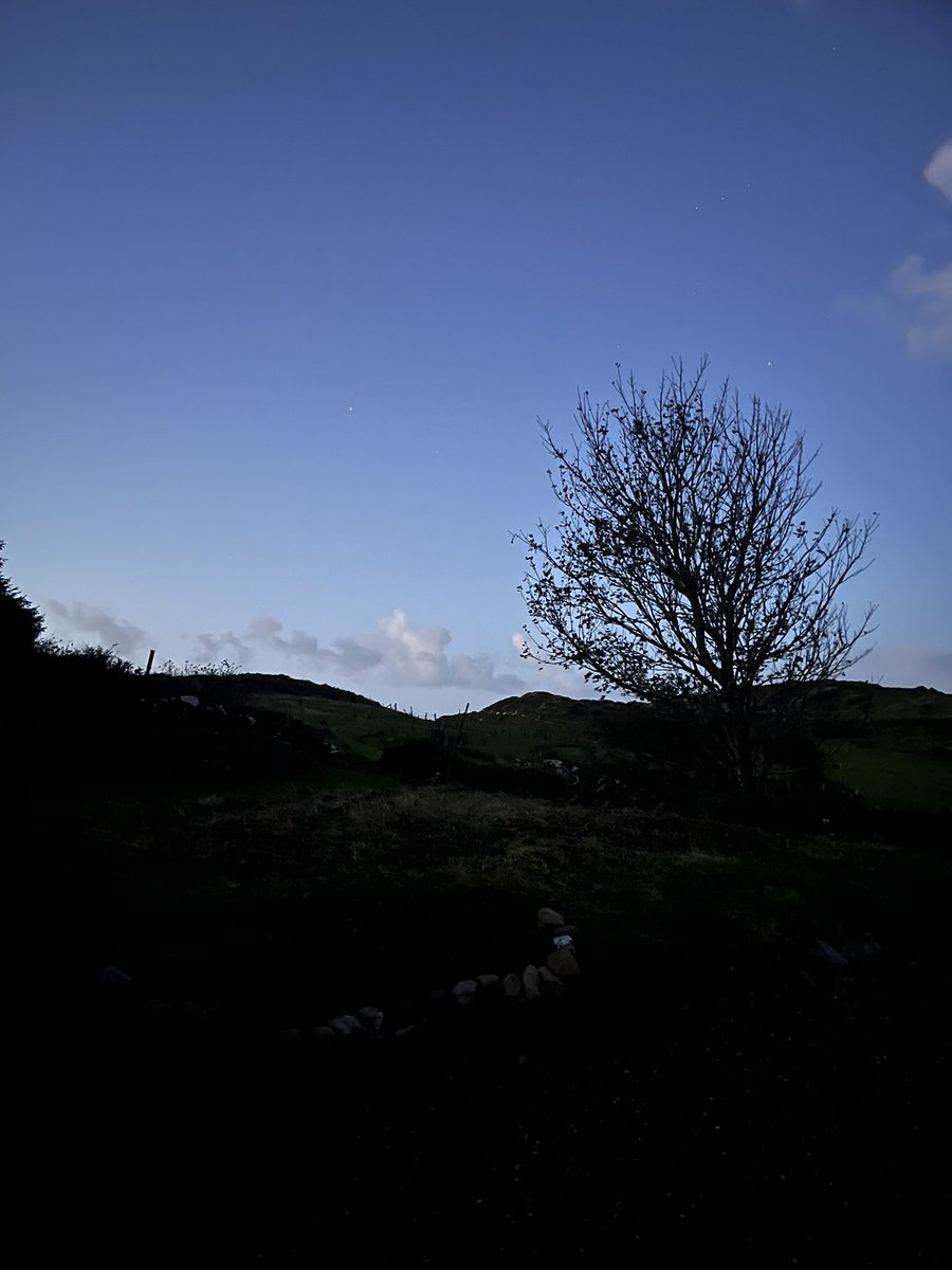 Calm morning by Lough Hyne … but some signs of Ashley‘s passing .