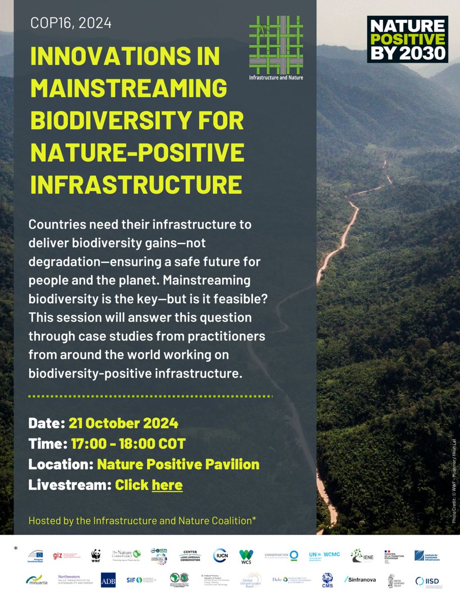 minuartia tweet media