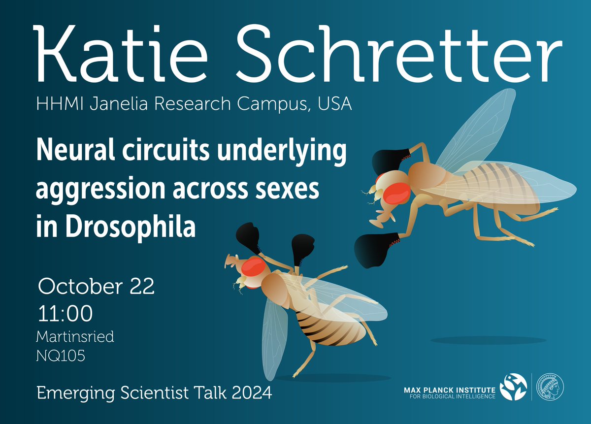 MPI for Biological Intelligence (@mpiforbi) on Twitter photo Aggressive fruit flies? Find out more about it in our next "Emerging Scientist Talk" on neural circuits underlying aggression in Drosophila by Katie Schretter <a href="/ceschretter/">Catherine Schretter @ceschretter@bsky.social</a>, postdoc <a href="/HHMIJanelia/">HHMI | Janelia</a>. Tomorrow, October 21, at 11am in NQ 105 in Martinsried!
Art by <a href="/mulesome/">julia kuhl at somedonkey.bsky.social</a> Aggressive fruit flies? Find out more about it in our next "Emerging Scientist Talk" on neural circuits underlying aggression in Drosophila by Katie Schretter <a href="/ceschretter/">Catherine Schretter @ceschretter@bsky.social</a>, postdoc <a href="/HHMIJanelia/">HHMI | Janelia</a>. Tomorrow, October 21, at 11am in NQ 105 in Martinsried!
Art by <a href="/mulesome/">julia kuhl at somedonkey.bsky.social</a>