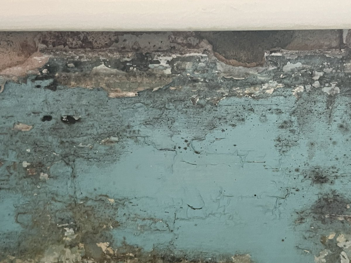 Clemency tweet media