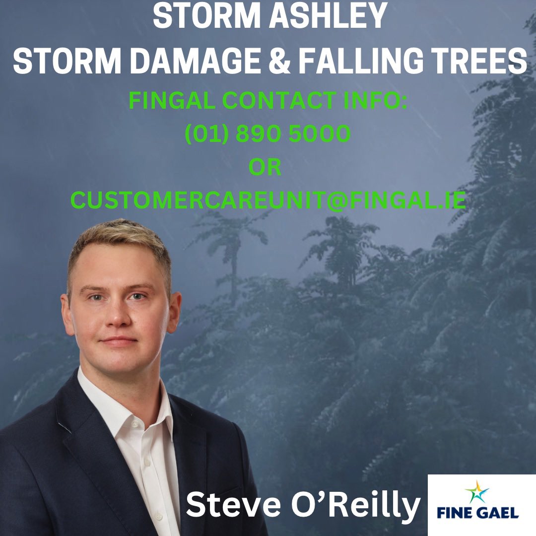 Steve0Reilly's tweet photo. This morning I’ve seen reports of fallen trees as a result of #StormAshley. To report damage or falling trees in the area, please call fingal county council on (01) 890 5000 or email customercareunit@fingal.ie https://t.co/4Rs4gZqQKt