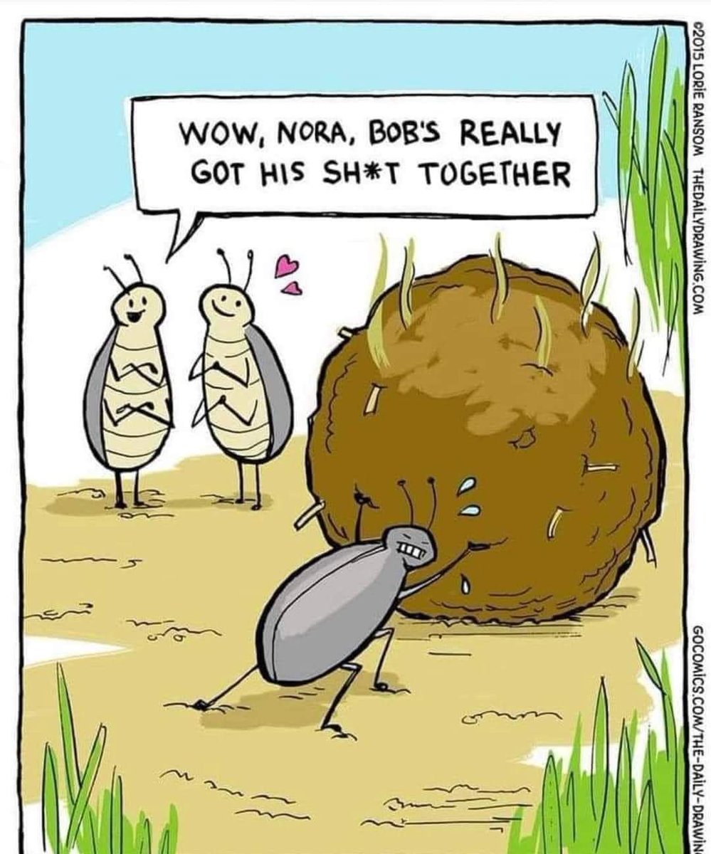 It's dung beetle love 💕