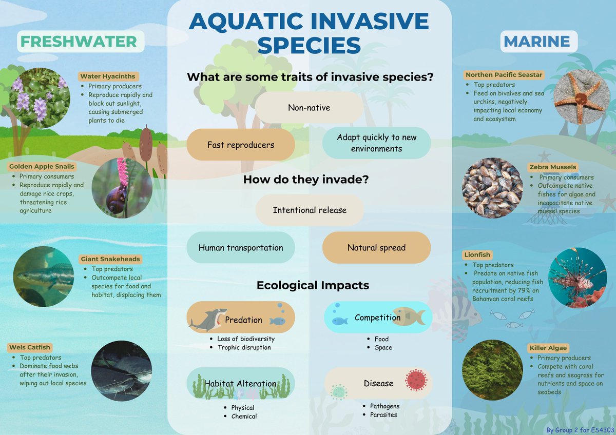 Asian School Of The Environment (@ntu_ase) on Twitter photo #invasivespecies can sometimes single-handedly break entire #ecosystems - but what kind of traits and impacts do they actually have? Students from the Aquatic #ecology class taught by Asst Prof <a href="/kylecoral/">Kyle Morgan</a> put together this infographic as part of their project work! #invasivespecies can sometimes single-handedly break entire #ecosystems - but what kind of traits and impacts do they actually have? Students from the Aquatic #ecology class taught by Asst Prof <a href="/kylecoral/">Kyle Morgan</a> put together this infographic as part of their project work!