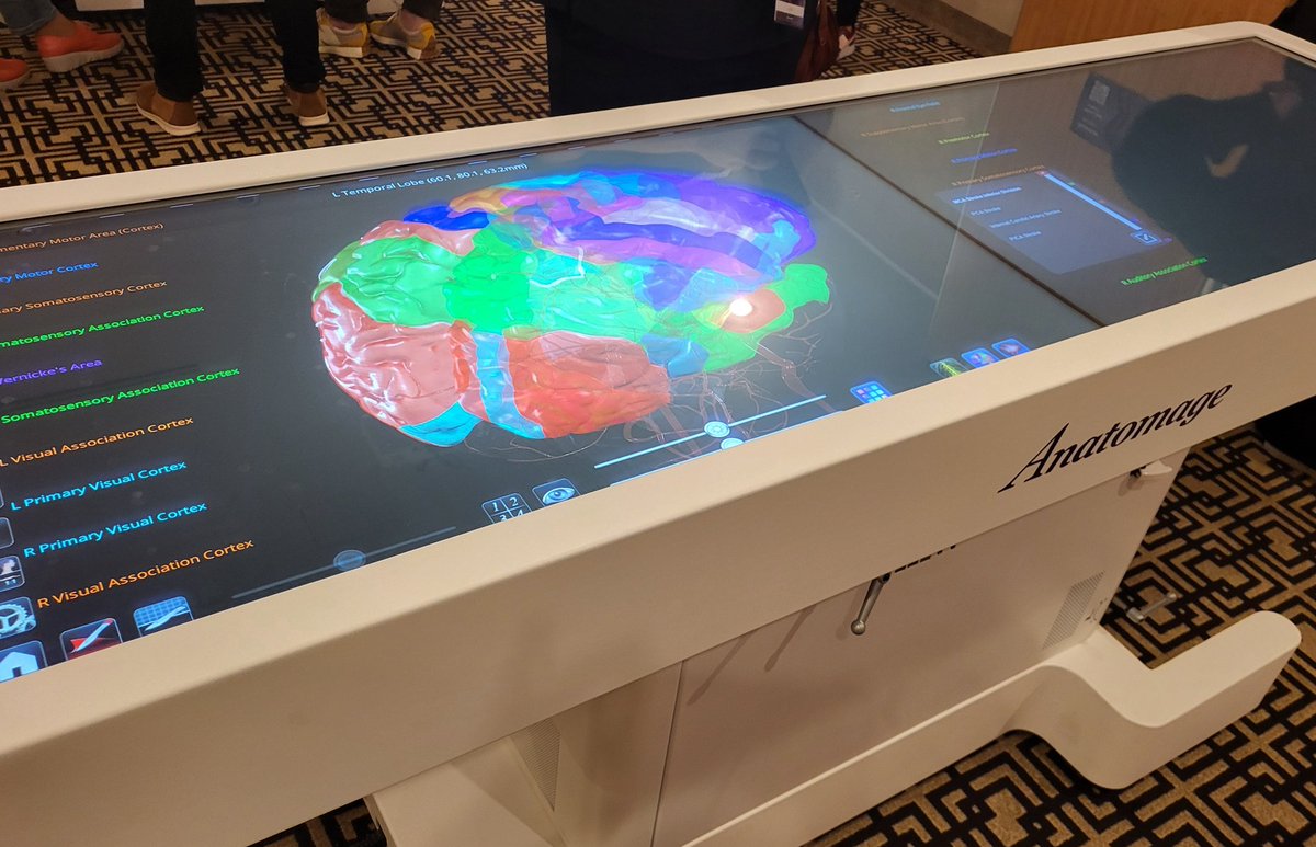 amk_dempsey's tweet photo. I was thrilled to have been invited to the 2024 European Anatomage Conference held in Milan recently to discover new, exciting and engaging ways of implementing the Table 11 upgrades in the design and delivery of #anatomy curricula @Anatomage #EUanatomage #MedicalEducation https://t.co/MY3xEMaMZm