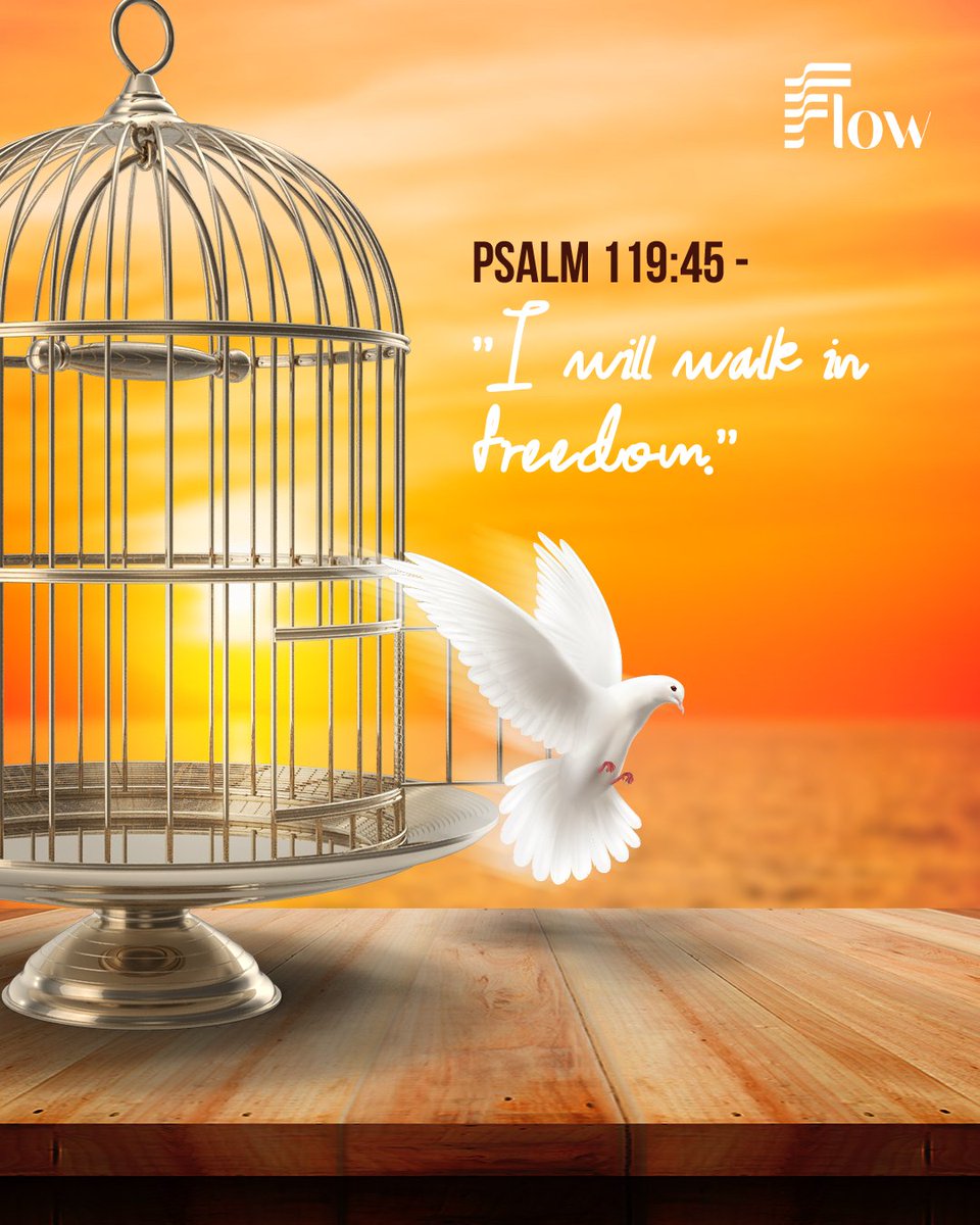 femioladehin's tweet photo. This week, you will experience freedom in:
Your home,
Your finances,
Your business,
And all that concerns you.
Type in the comments "I walk in freedom"
#FlowStateofMind #FlowStateofLife https://t.co/D2wAMvSu2F