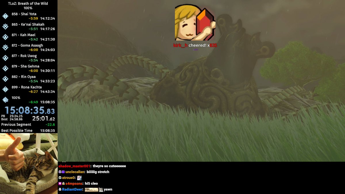 Another run this time with cat cam! I'm starting to believe in the sub 15 hour BotW 100%