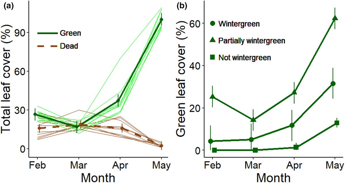 ExFuMo1's tweet photo. 📢A new paper from our lab!
Lubbe at al. in @FunEcology New opportunities for grassland species in warming temperate winters❄️🌱
#ExFuMo #GoBelowground #ClimateChange #FreezingTolerance #herb #perennial #leaf #persistence #traits #overwintering #phenology #WinterWarmSpell
@ibotcz https://t.co/ZX22dAJPrA