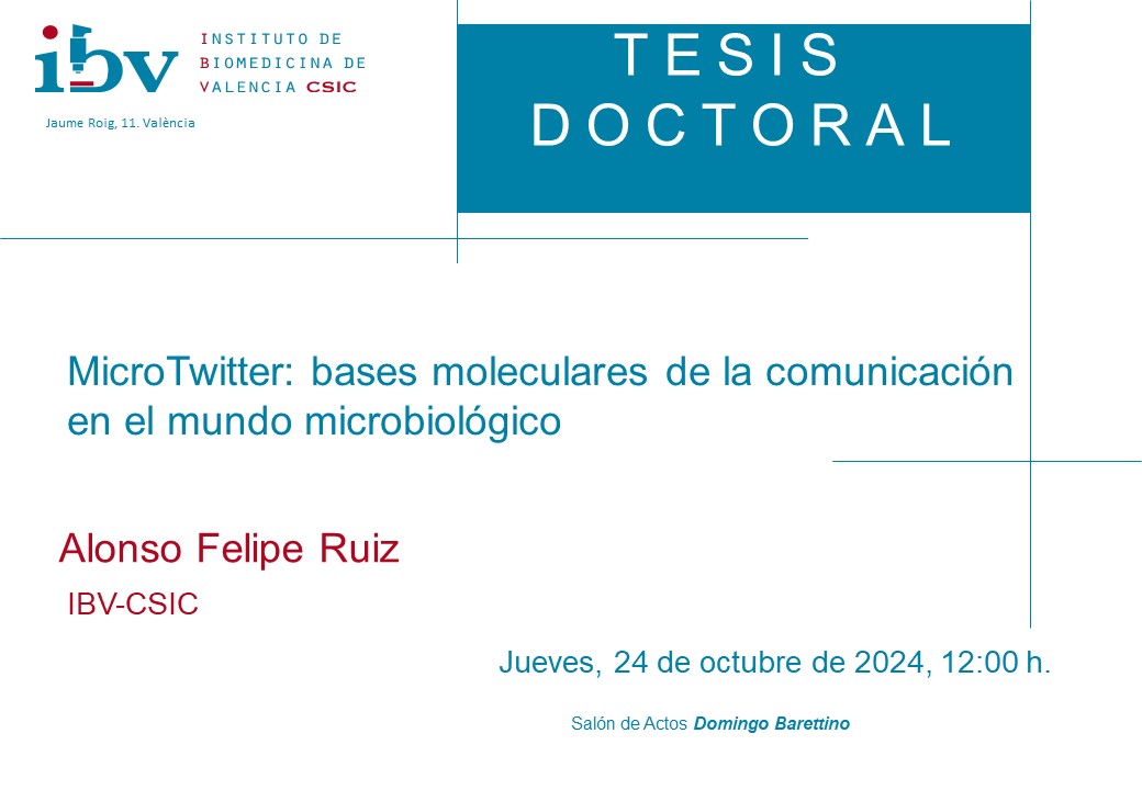 IBV_CSIC's tweet photo. El próximo jueves, nuestro compañero Alonso Felipe Ruiz del @UCM_Lab del @IBV_CSIC , defenderá la tesis doctoral: 

«MicroTwitter: bases moleculares de la comunicación en el mundo microbiológico»

🗓️24/10/2024
⌚️12:00h
🏛️ Jaume Roig, 11 https://t.co/lCYzpMe3YM