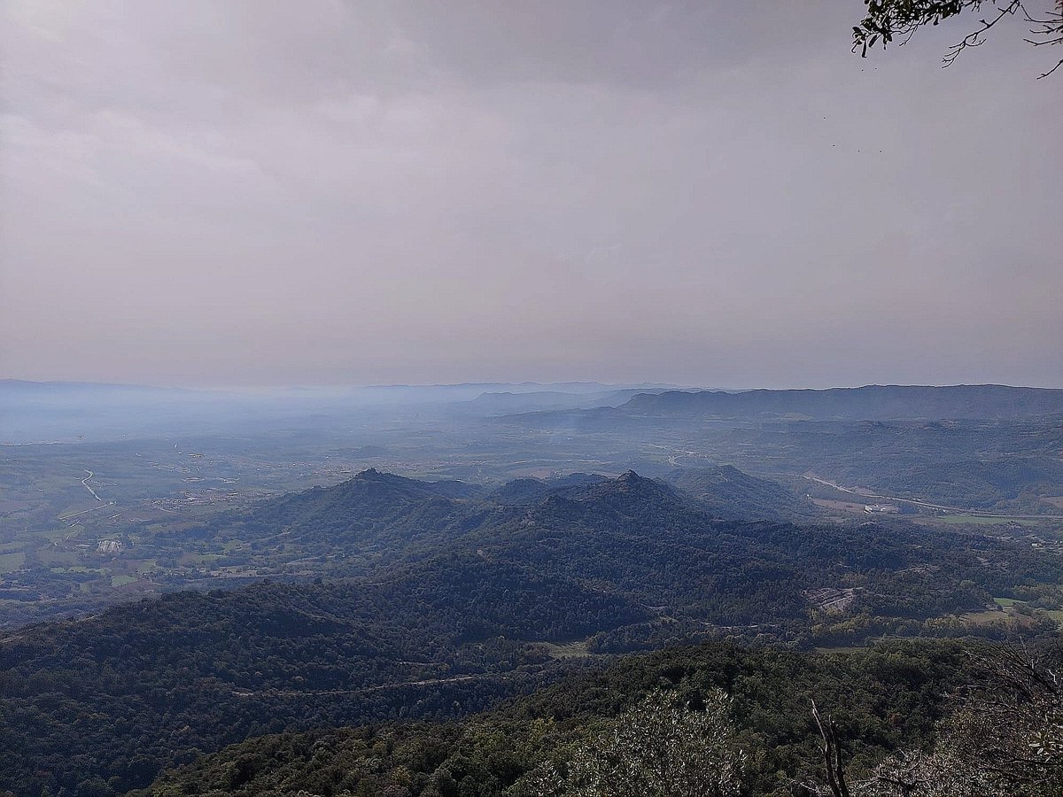 Boirina a la plana de Vic.
#Bellmunt