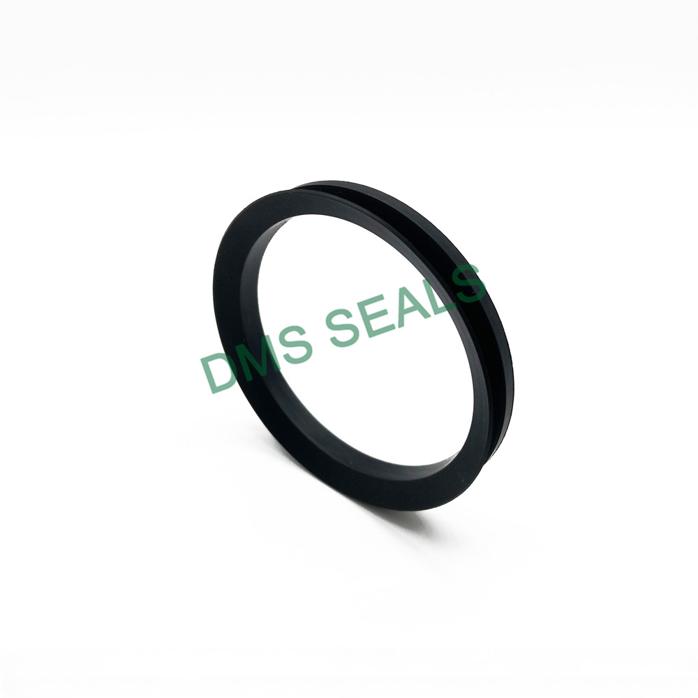 DMSseals's tweet image. We are unlocking the shackles of rod seals and opening up entirely new designs. dmsseals.com/low-friction-a… #rodseals #pistonrodseal #hydraulicrodsealsonline