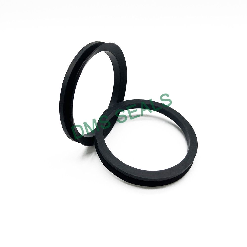 DMSseals's tweet image. We are unlocking the shackles of rod seals and opening up entirely new designs. dmsseals.com/low-friction-a… #rodseals #pistonrodseal #hydraulicrodsealsonline
