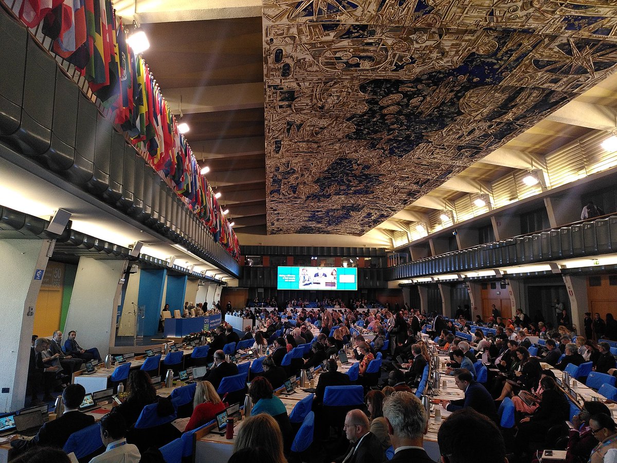 CosquerRic's tweet image. Opening of the @UN_CFS hosted by @FAO 👏
▶️The forum on the uptake of the CFS guidelines on gender equality is on Thursday morning 🎉 #CFSGender 
🗣️Tune in for @CSM4CFS intervention on how to bring Rome back home and advance gender equality in food systems in all territories ✊