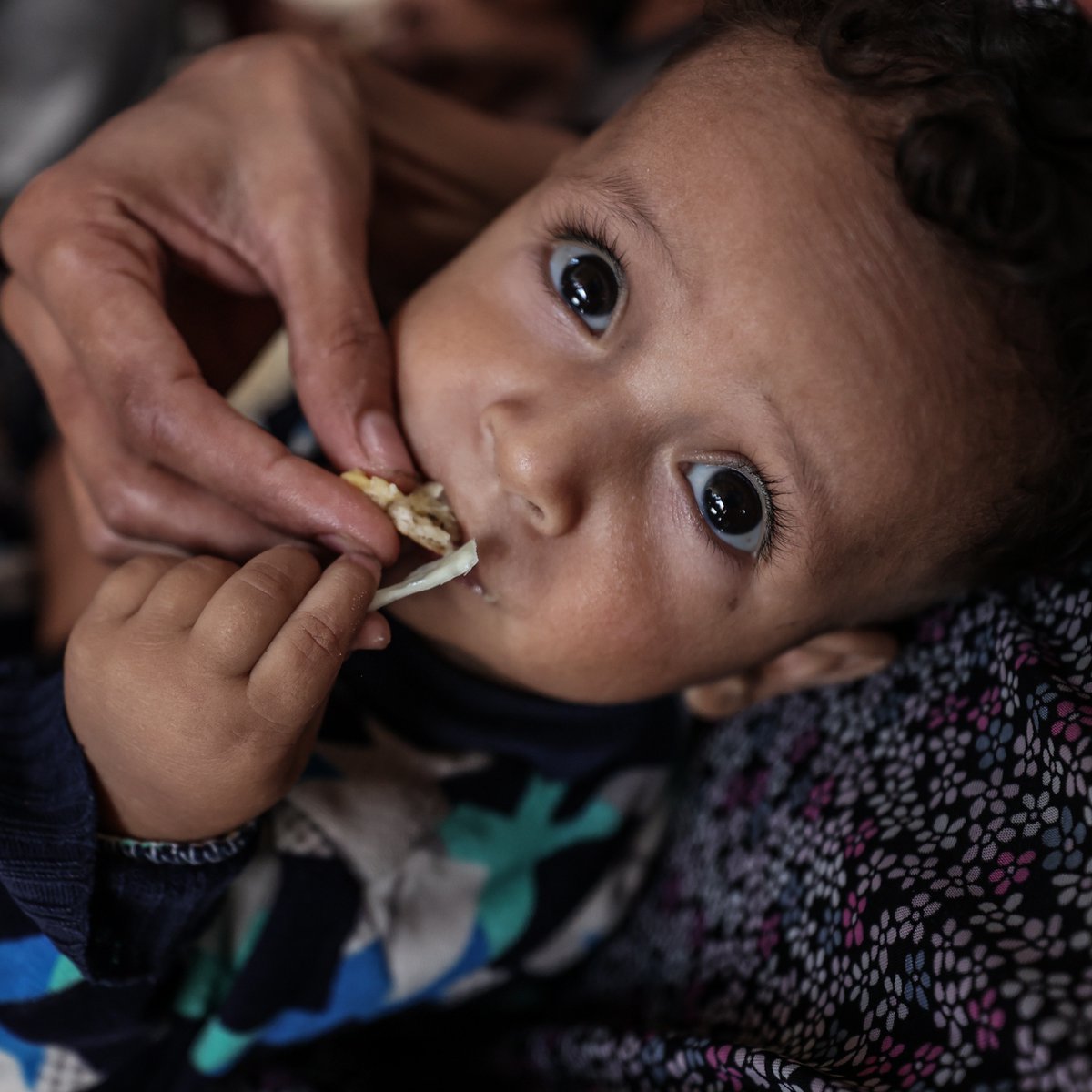 WFP in the Middle East & North Africa (@wfp_mena) on Twitter photo 🔴Families in #Gaza face a winter of extreme hunger.
The latest food security report states that over 90% of the population may face acute food insecurity unless fighting stops.
<a href="/WFP/">World Food Programme</a> calls for a halt to fighting & sustained humanitarian access to provide life-saving assistance. 🔴Families in #Gaza face a winter of extreme hunger.
The latest food security report states that over 90% of the population may face acute food insecurity unless fighting stops.
<a href="/WFP/">World Food Programme</a> calls for a halt to fighting & sustained humanitarian access to provide life-saving assistance.