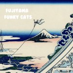 Photo by CUTE CAT CLUB ORCHESTRA (@CatOrchestra)