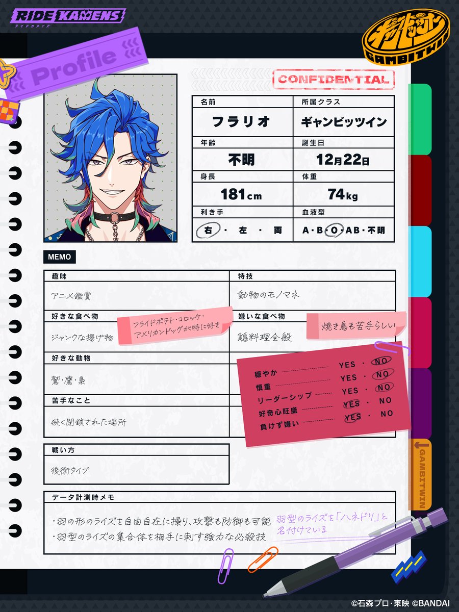 ライドカメンズ駆フラリオセット