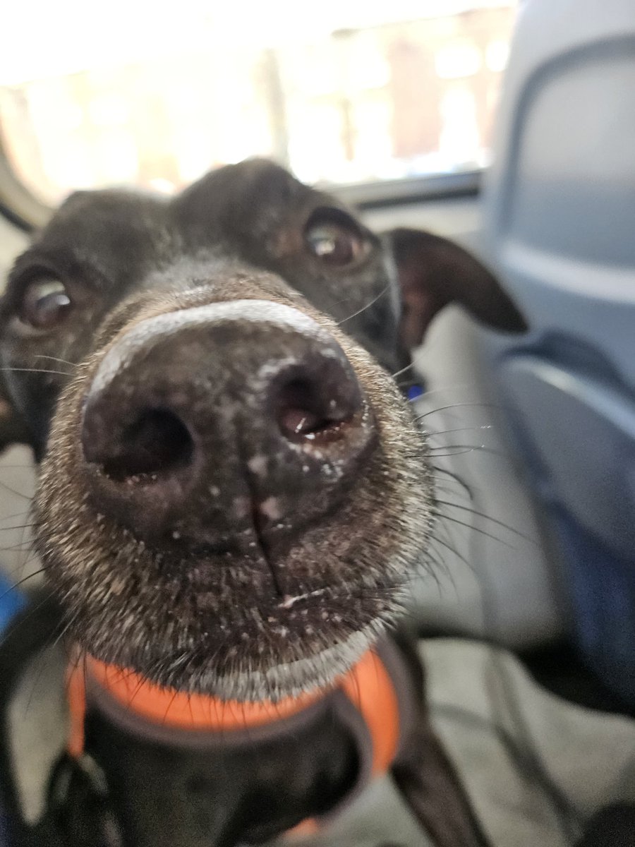 evilbeingttv tweet media