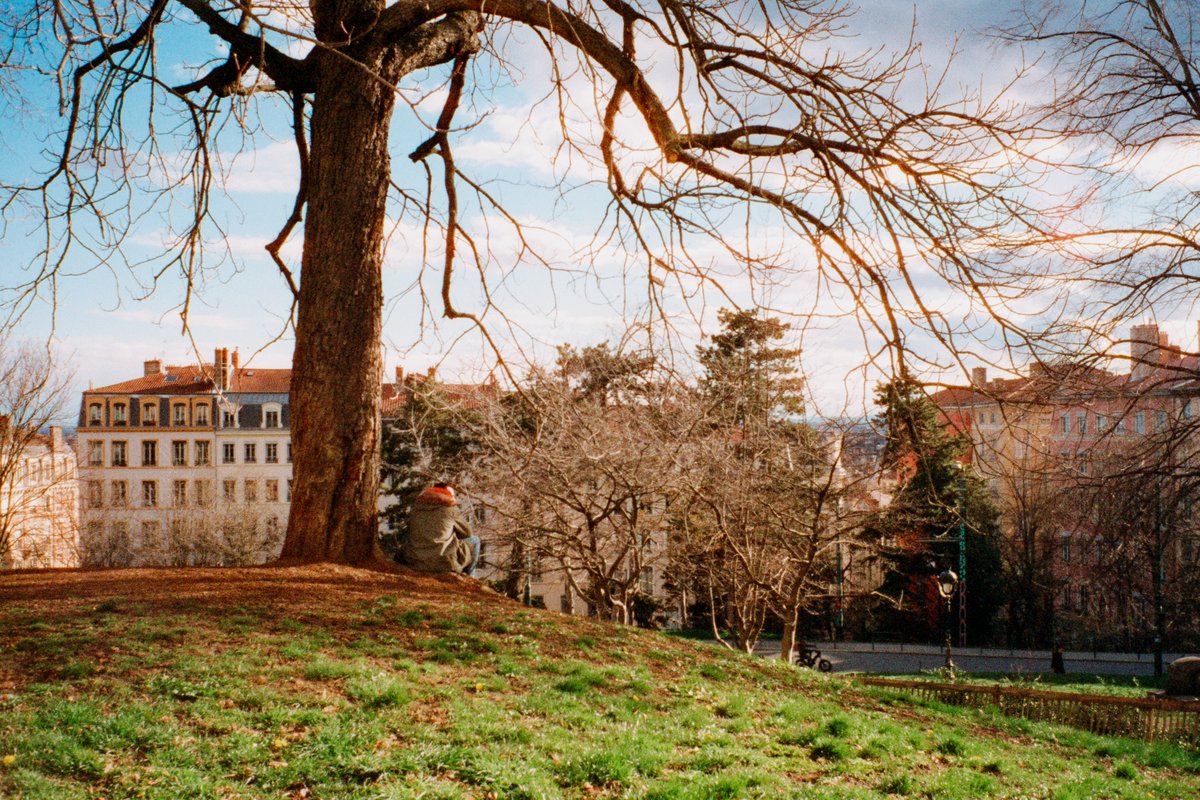 21. Racines 🌳

Réflexions au pied de l'arbre.
#31themesAnalogChallenge