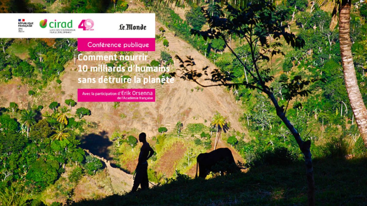 #Cirad40 | « Comment nourrir 10 milliards d'humains sans détruire la planète ? »
Conférence organisée à l'occasion des 40 ans du #Cirad, en partenariat avec le journal <a href="/lemondefr/">Le Monde</a> 
📅 25 novembre 2024
🕕 A partir de 18:00
📌 Auditorium Le Monde
🔗A lire 👉cirad.fr/espace-presse/…