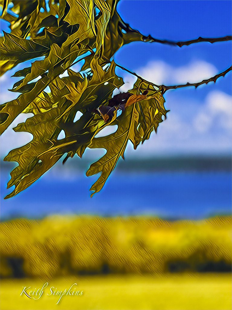 KeithSimpkins37's tweet photo. https://t.co/qq0GuiDmdJ

Like and share, thank you!

Follow me @ https://t.co/mXSKY3YB2F 
 #autumn #leaves #travelphotography #outdoors #beautifuldestinations #picoftheday #photography #photooftheday #landscapephotography #digitalart #phototoartist https://t.co/zaJI1e3YGy
