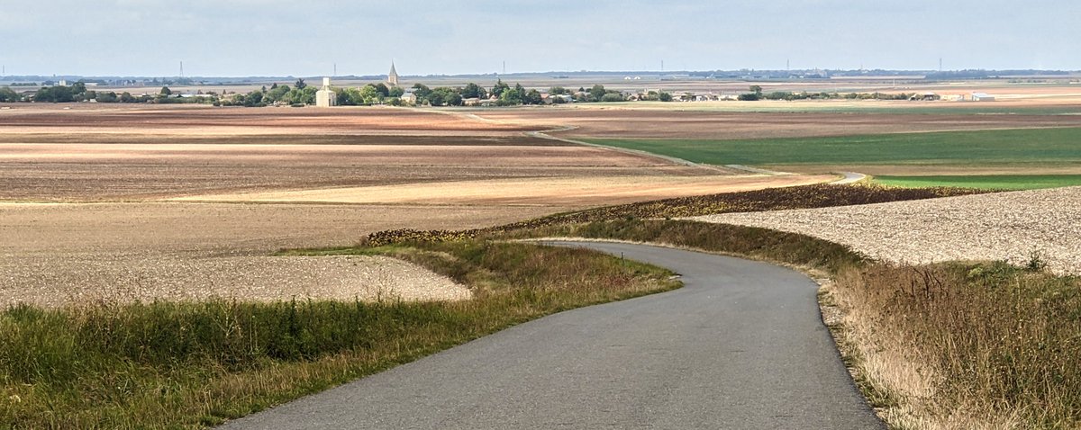 CAUE de la Vienne tweet media