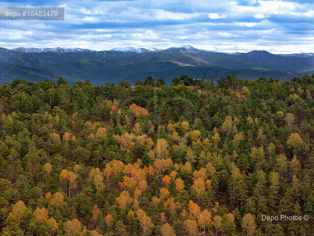 İç Anadolu'nun en büyük ormanı olma özelliğini taşıyan Yozgat'ın Akdağmadeni ilçesindeki ormanlar, sonbahar mevsiminin renklerine büründü.  
İlçe topraklarının %32,5'i ormanlarla kaplı. İç Anadolu Bölgesi orman ortalaması ise ancak %8. 
(Mehmet Doğan - Depo Photos)
