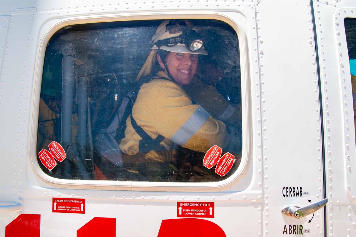 Llanos García tweet media