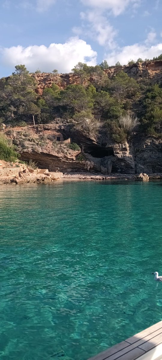 Otoño en Ibiza continúa la magia. 🍁🌊#MagiaDeIbiza"

#ibiza2024 #ibiza #eivissa #formentera #formentera2024 #ibizastyle #islandlife #ibizaplaces #formenteralovers #ibizalife #ibizalovers #ibizaspain #ibizaboat #boatdayibiza #ibizatoformentera #vip #boatrental