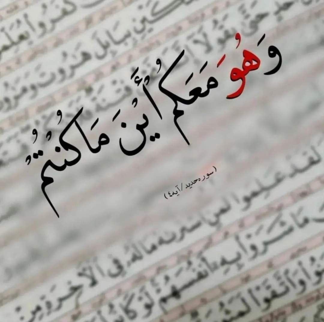 توكلنا على الحي القيوم، الذي لا تأخذه سنة ولا نوم، الذي بيده كل شي 
#صباح_الخير 🦋