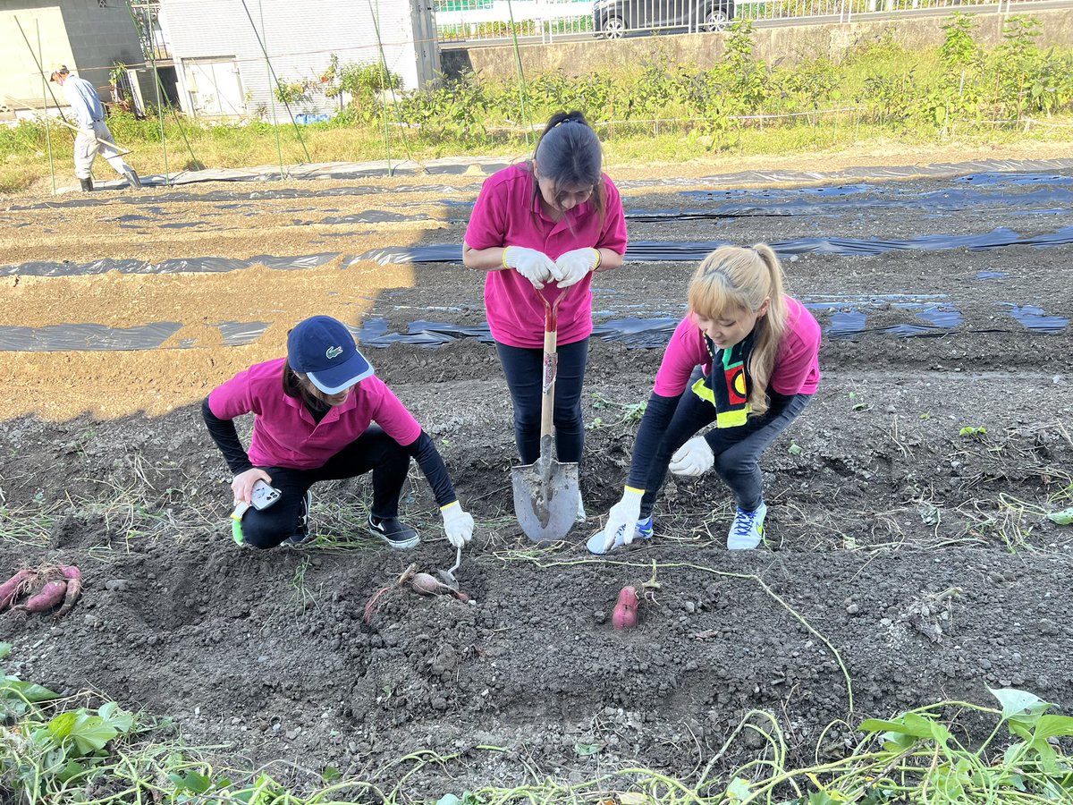 DomeFamily's tweet photo. こんばんは！
Familyドームです😌

10月活動報告🍠

#姫路 #ボランティア #ひまわりサロン
#畑仕事楽しい #Familyドーム https://t.co/4l8RfSWjen