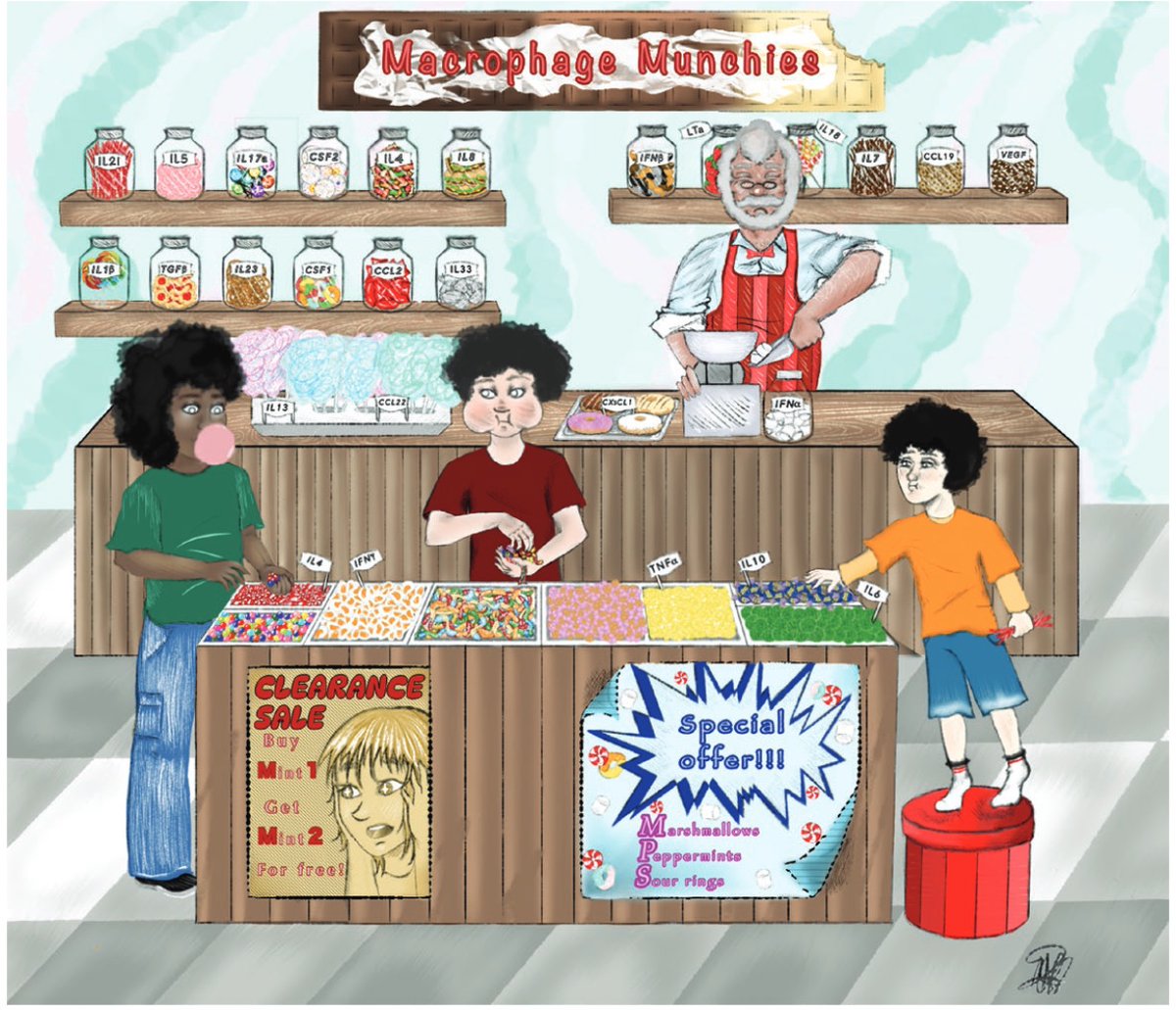 Mildner Lab (@mildnerlab) on Twitter photo Together with <a href="/simonyona/">Simon Yona</a> and <a href="/KiwookKimLab/">Ki-Wook Kim Lab</a> we wrote a new monocyte review - don't be afraid, not in the F journals, but in <a href="/discovimmunol/">Discovery Immunology Journal</a> (doi.org/10.1093/discim…). You have to check out Figure 2. Do you find the hidden messages? Together with <a href="/simonyona/">Simon Yona</a> and <a href="/KiwookKimLab/">Ki-Wook Kim Lab</a> we wrote a new monocyte review - don't be afraid, not in the F journals, but in <a href="/discovimmunol/">Discovery Immunology Journal</a> (doi.org/10.1093/discim…). You have to check out Figure 2. Do you find the hidden messages?