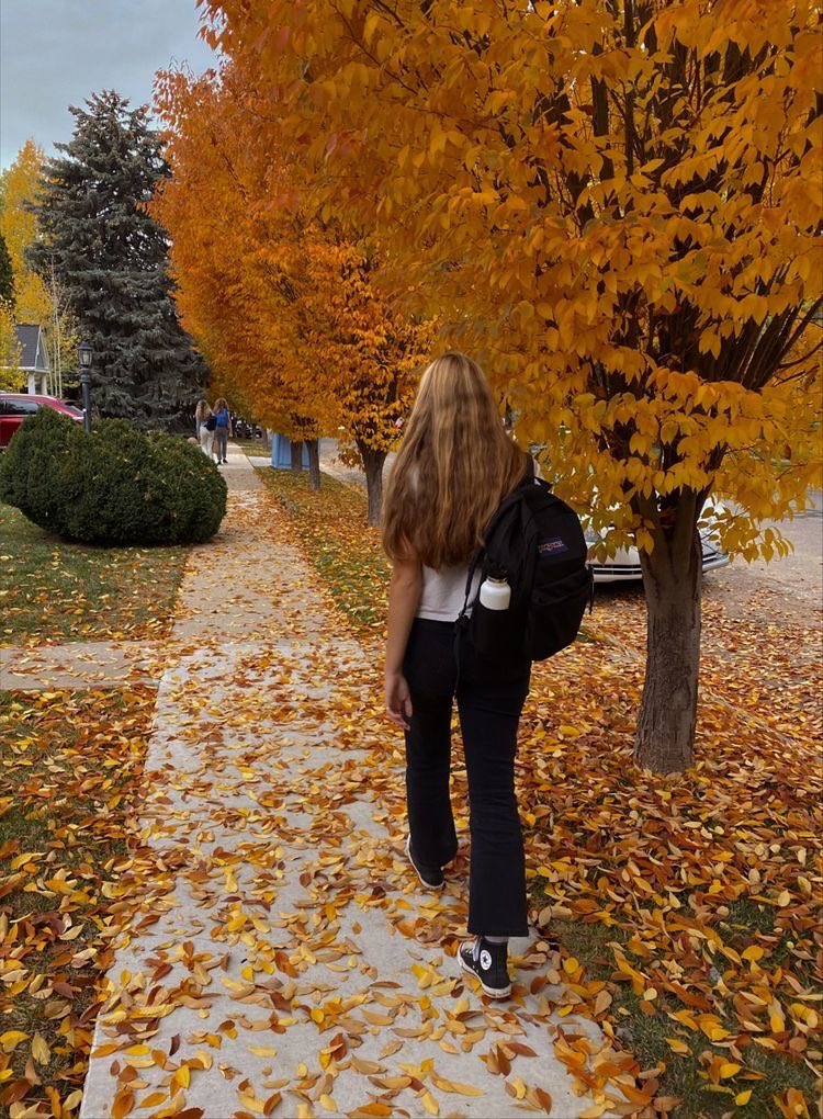 andreeafairy's tweet image. October days 🍂🎃🍁🐈‍⬛