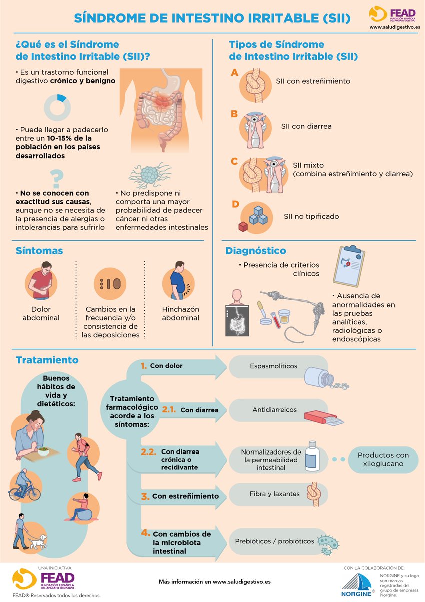 saludigestivo's tweet photo. 🩺​ #DiaNacionalSII | ¿Qué es el Síndrome de Intestino Irritable? Tipos, síntomas, diagnóstico y tratamiento.
➡️Infografía @saludigestivo @sepdigestiva
 #Salud #saludigestivo #FEAD #SEPD
Con la colaboración de #Norgine https://t.co/v3bCHJnGCP