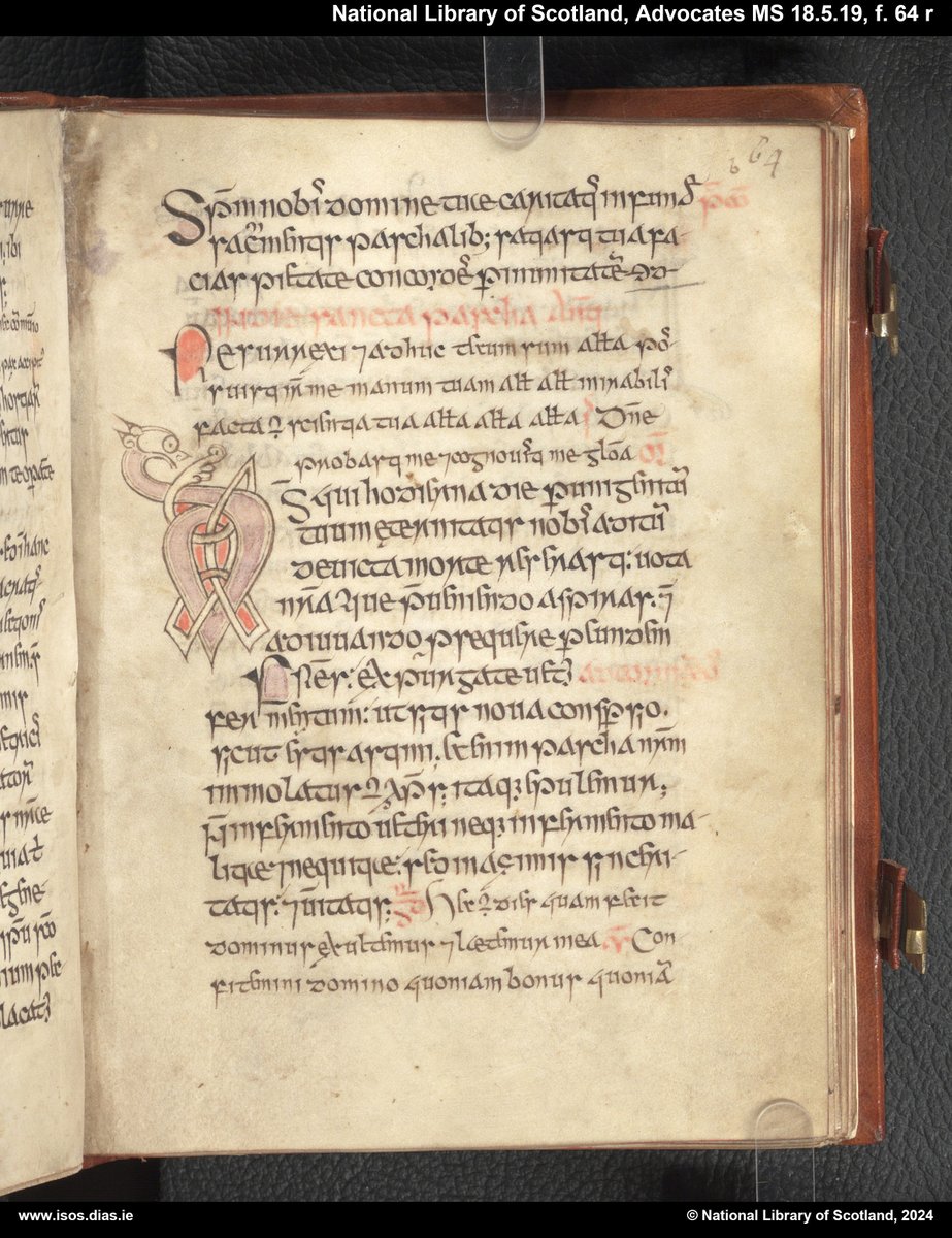 Irish Script On Screen (www.isos.dias.ie) (@dias_isos) on Twitter photo 1/3 Check out the latest additions to ISOS from the National Library of Scotland <a href="/natlibscot/">National Library of Scotland</a>! 📜✨
📖 Adv. MS 18.8.16: An 11th-century Irish pocket Gospel book featuring the Gospels of Mark, Luke, and part of John's prologue. Decorated with intricate zoomorphic initials. 1/3 Check out the latest additions to ISOS from the National Library of Scotland <a href="/natlibscot/">National Library of Scotland</a>! 📜✨
📖 Adv. MS 18.8.16: An 11th-century Irish pocket Gospel book featuring the Gospels of Mark, Luke, and part of John's prologue. Decorated with intricate zoomorphic initials.