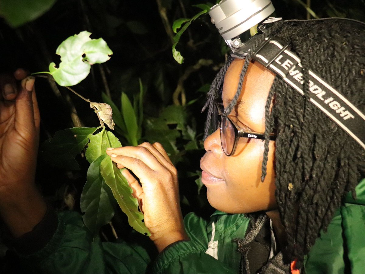 Happy National Reptile Awareness Day!

Did you know that over 900 species of reptiles are on our EDGE reptile list! 

Featured today is the Nguru Spiny Pygmy Chameleon, which is the focus of EDGE Fellow Eva Johnson. 

#NationalReptileAwarenessDay