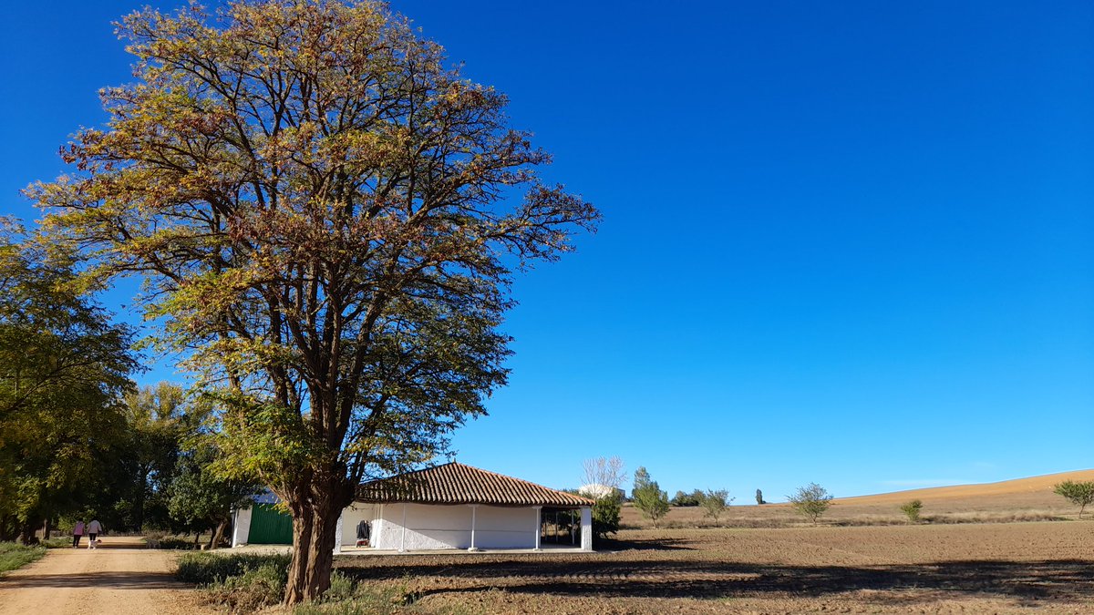 Bonita mañana otoñal en Fuentesaúco Zamora. <a href="/agomezmeteo_tve/">Andrés Gómez</a> <a href="/anamaria190977/">Ana María Herrero</a> <a href="/ElTiempo_tve/">El Tiempo en TVE</a> <a href="/ElTiempoA3/">El Tiempo de Antena 3</a> <a href="/lasextameteo/">La Sexta Meteo</a> <a href="/meteosegovia/">Adrián Escobar</a> <a href="/fcocachometeo/">Francisco Cacho</a> <a href="/TiempoCyLTV/">El Tiempo en CyL</a> <a href="/tomeandres/">Andrés Tomé</a> <a href="/martinraul16/">Raúl Martín☀️⛈🚴🏼‍♂️🎄🌟</a> <a href="/sibilafc/">Silvia Ferrer</a>