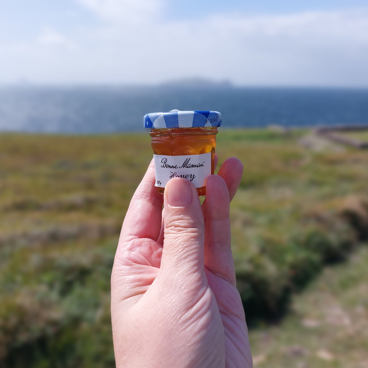 Nuala O'Connor (@nualanic) on Twitter photo My story 'Sorrow and Honey' features on SPOKEN STORIES, <a href="/RTERadio1/">RTÉ Radio 1</a>, Sunday 27th Oct, 7.30pm. Narrator: Clare Dunne Producer: Clíodhna Ní Anluain I had a gorgeous research trip to the Dingle Peninsula, to St Gobnait's Well, Ventry etc. My story 'Sorrow and Honey' features on SPOKEN STORIES, <a href="/RTERadio1/">RTÉ Radio 1</a>, Sunday 27th Oct, 7.30pm. Narrator: Clare Dunne Producer: Clíodhna Ní Anluain I had a gorgeous research trip to the Dingle Peninsula, to St Gobnait's Well, Ventry etc.