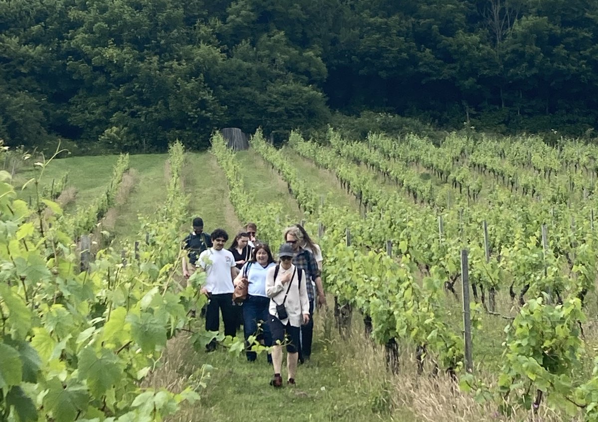 Surrey Arts (@surrey_arts) on Twitter photo ✨ Join @Surrey_Hills_Arts for a dusk walk around the stunning vineyard at Denbies. You will be presented a showcase of multidisciplinary work inspired by the local landscape and listen to poetry by @rosie_may_jones ✨
Wednesday 23rd October, 5-6.30pm
orlo.uk/bsgoP ✨ Join @Surrey_Hills_Arts for a dusk walk around the stunning vineyard at Denbies. You will be presented a showcase of multidisciplinary work inspired by the local landscape and listen to poetry by @rosie_may_jones ✨
Wednesday 23rd October, 5-6.30pm
orlo.uk/bsgoP