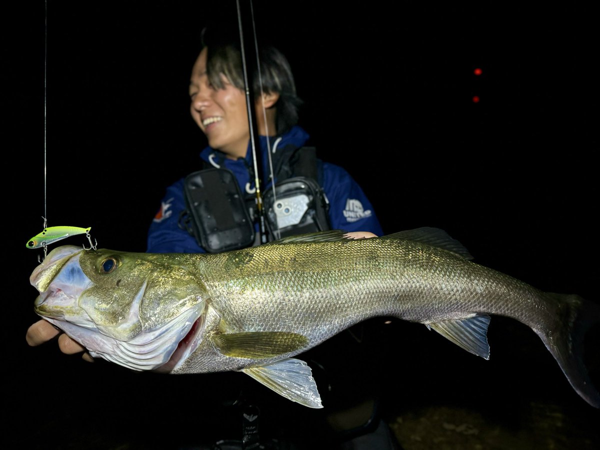 512Fuki's tweet image. 時差投稿🕰️
得意な #冷音 の釣り
自分の好みのカラーローテーションで釣っていく✨
潮位下がったら #ヨレヨレミニ のロングフォール👌
#pr