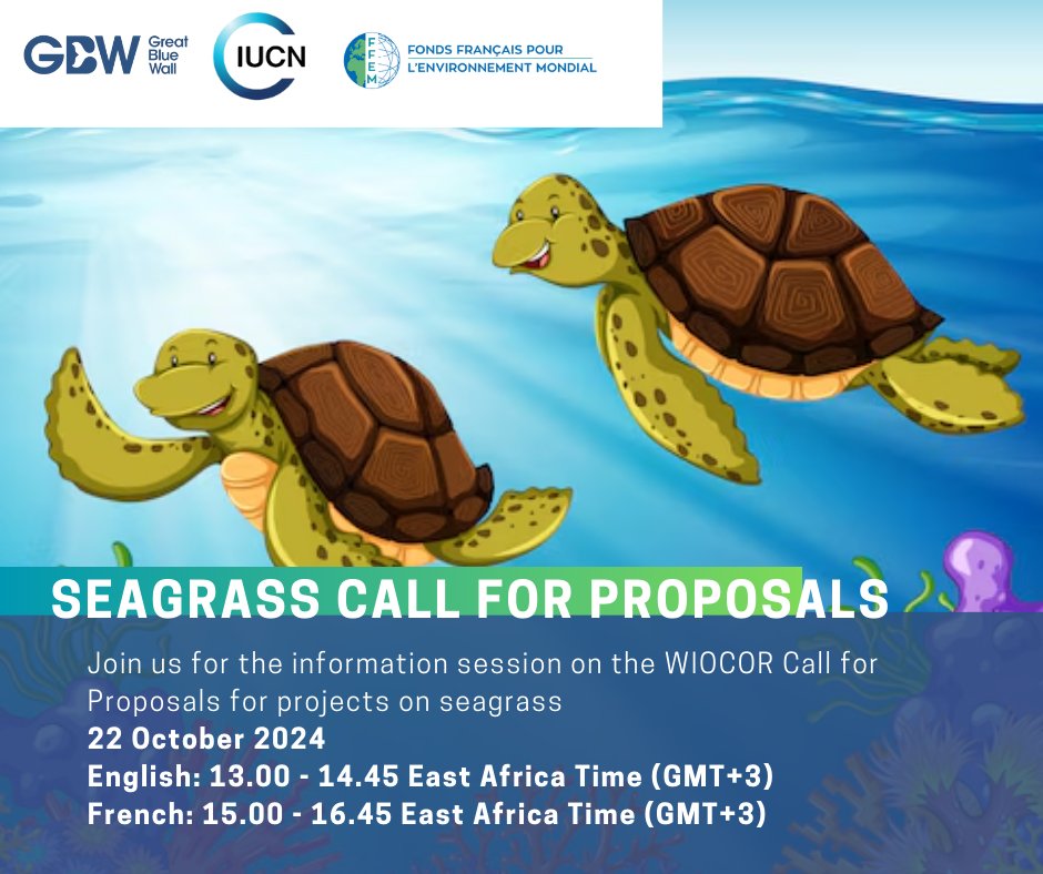 ⏳24 Hours Webinar Alert! 

📢The <a href="/GrtBlueWall/">GreatBlueWall.ORG</a> initiative through #WIOCOR project has exciting news for you. 
Seagrass Conservation #Grants for projects in Western Indian Ocean region.

Want to know more?
Register now to attend the #InfoSession tomorrow.

events.teams.microsoft.com/event/de1d5fbf…