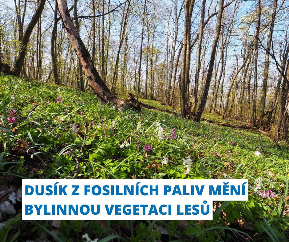 Akademie věd ČR (@akademie_ved_cr) on Twitter photo 🌿 Vědci z <a href="/IBOTCZ/">Botanický ústav AV ČR/Institute of Botany CAS</a> se podíleli na dvou významných studiích, které byly publikovány v časopisech Science a Science Advances.
🌱 Tyto studie se zaměřují na vliv atmosférické depozice dusíku na diverzitu bylinného patra lesů v Evropě a Severní Americe. Výsledky výzkumu prokázaly 🌿 Vědci z <a href="/IBOTCZ/">Botanický ústav AV ČR/Institute of Botany CAS</a> se podíleli na dvou významných studiích, které byly publikovány v časopisech Science a Science Advances.
🌱 Tyto studie se zaměřují na vliv atmosférické depozice dusíku na diverzitu bylinného patra lesů v Evropě a Severní Americe. Výsledky výzkumu prokázaly