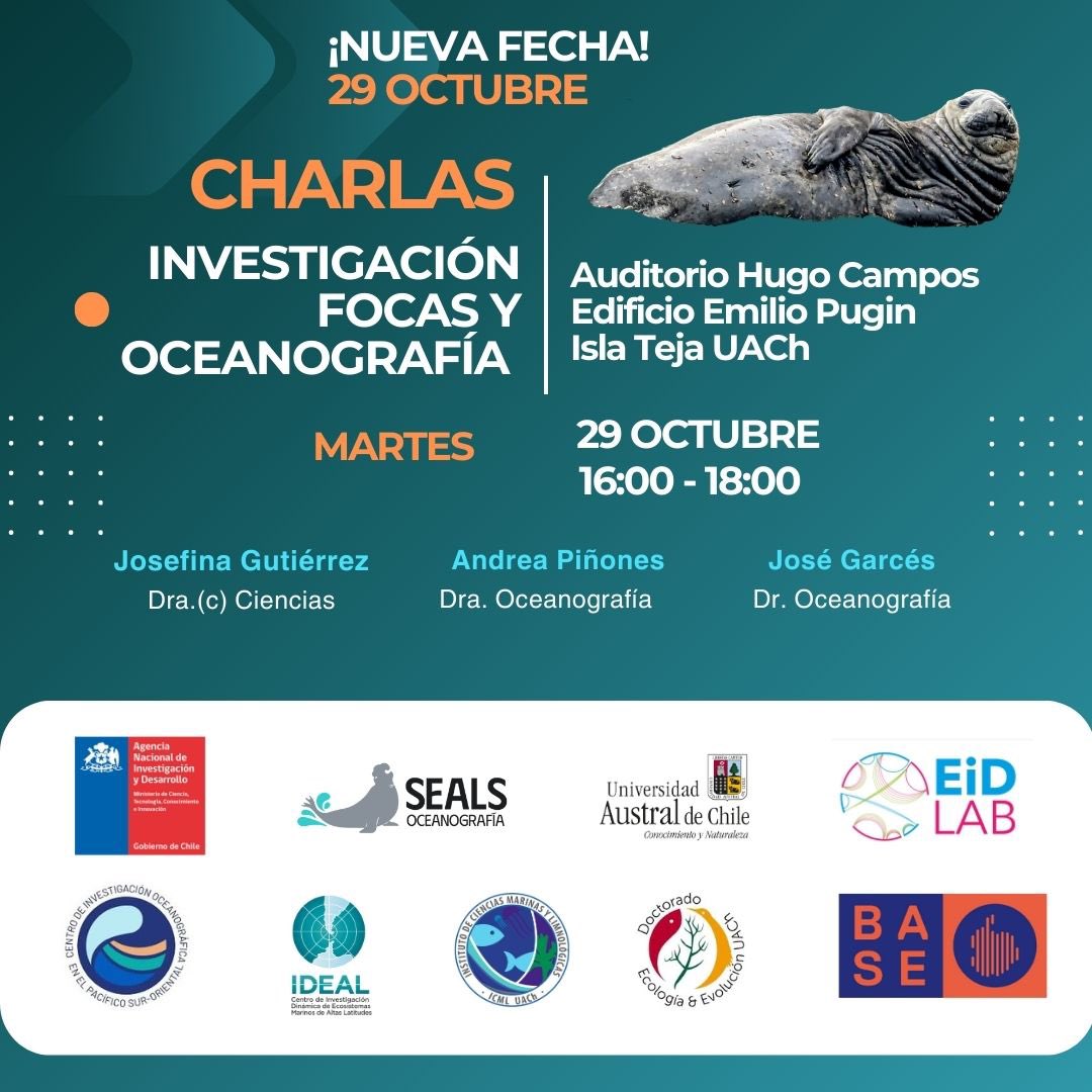 Atentos #Valdivia: jornada de charlas sobre focas y oceanografía de la Patagonia chilena 🦭🌊. Martes 29 de octubre, 16 hrs en <a href="/cienciasuach/">Facultad de Ciencias, UACh</a> <a href="/UAustraldeChile/">Universidad Austral de Chile</a> #Valdiviacl