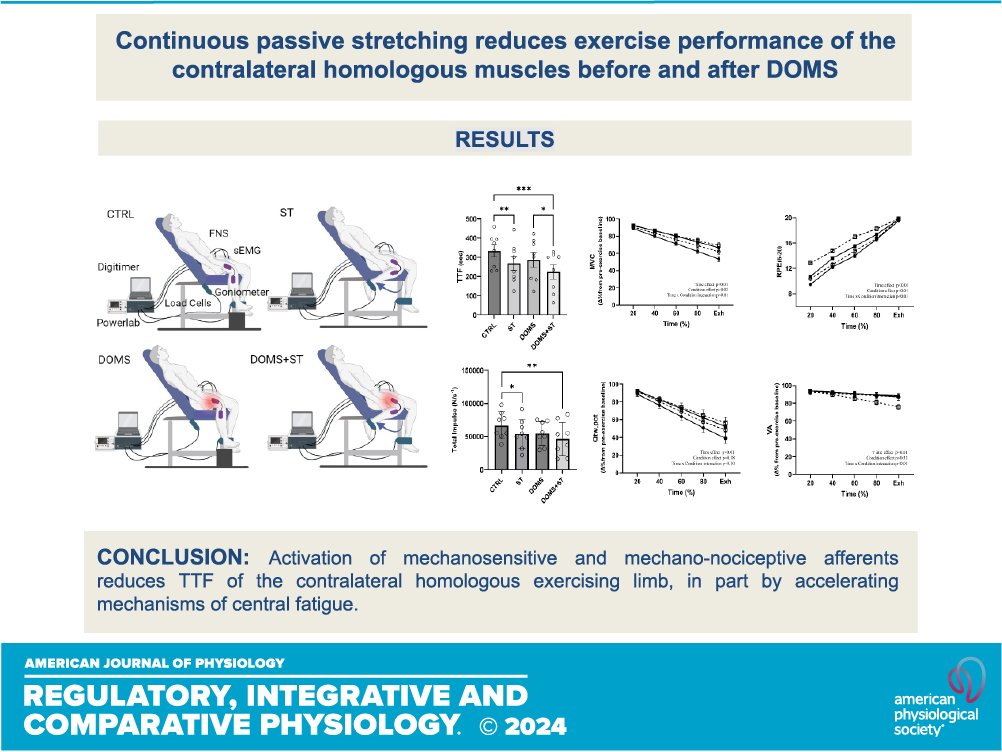 AJPRegu's tweet photo. 🚨 New study by @f.zambolin et al. 👉Delayed onset muscle soreness impacts not just one limb but its counterpart too! 😲 Activation issues may hinder your workout!

https://t.co/9laIBOeKTL

@fablagi #MuscleNerveAfferents #ExerciseInducedMuscleDamage #ExercisePerformance https://t.co/KEJEX2RBIj