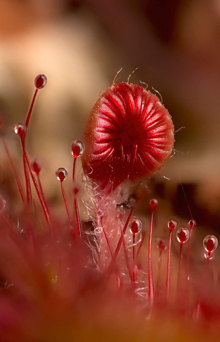 TinaClaffeyPhoto tweet media