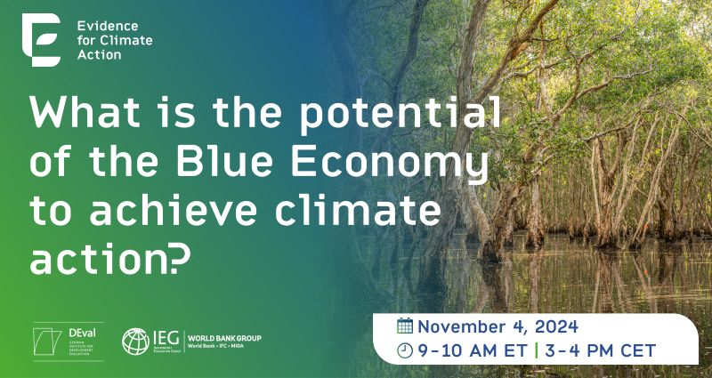 Focelac+ tweet media