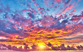 Haley Hall tweet media