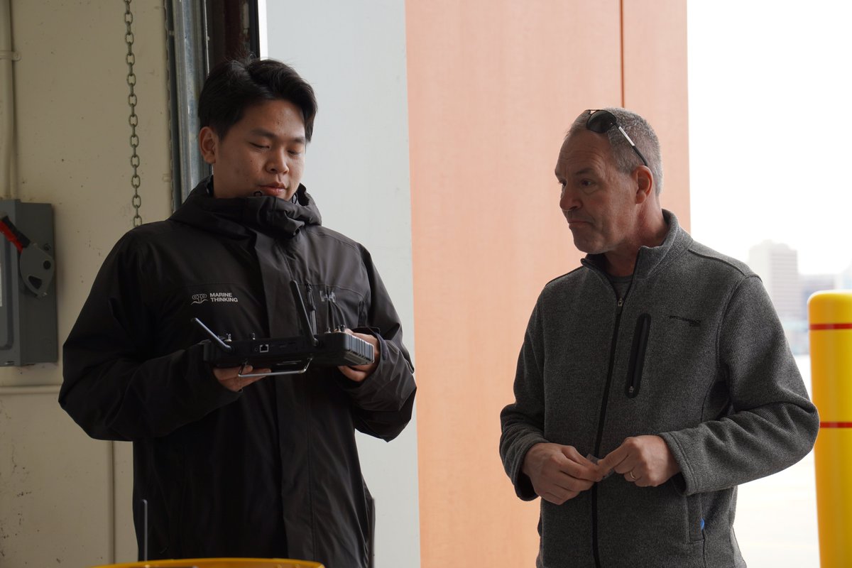 Marine Thinking tweet media