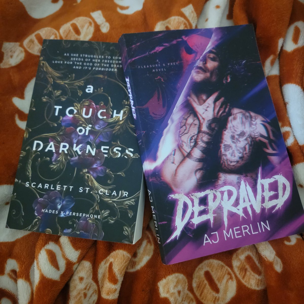 Thank you again Stacey B for the wonderful gifts. 

#beersbooksandboos #bookfairy #bookgift #thankyou #ajmerlinauthor #scarlettstclair