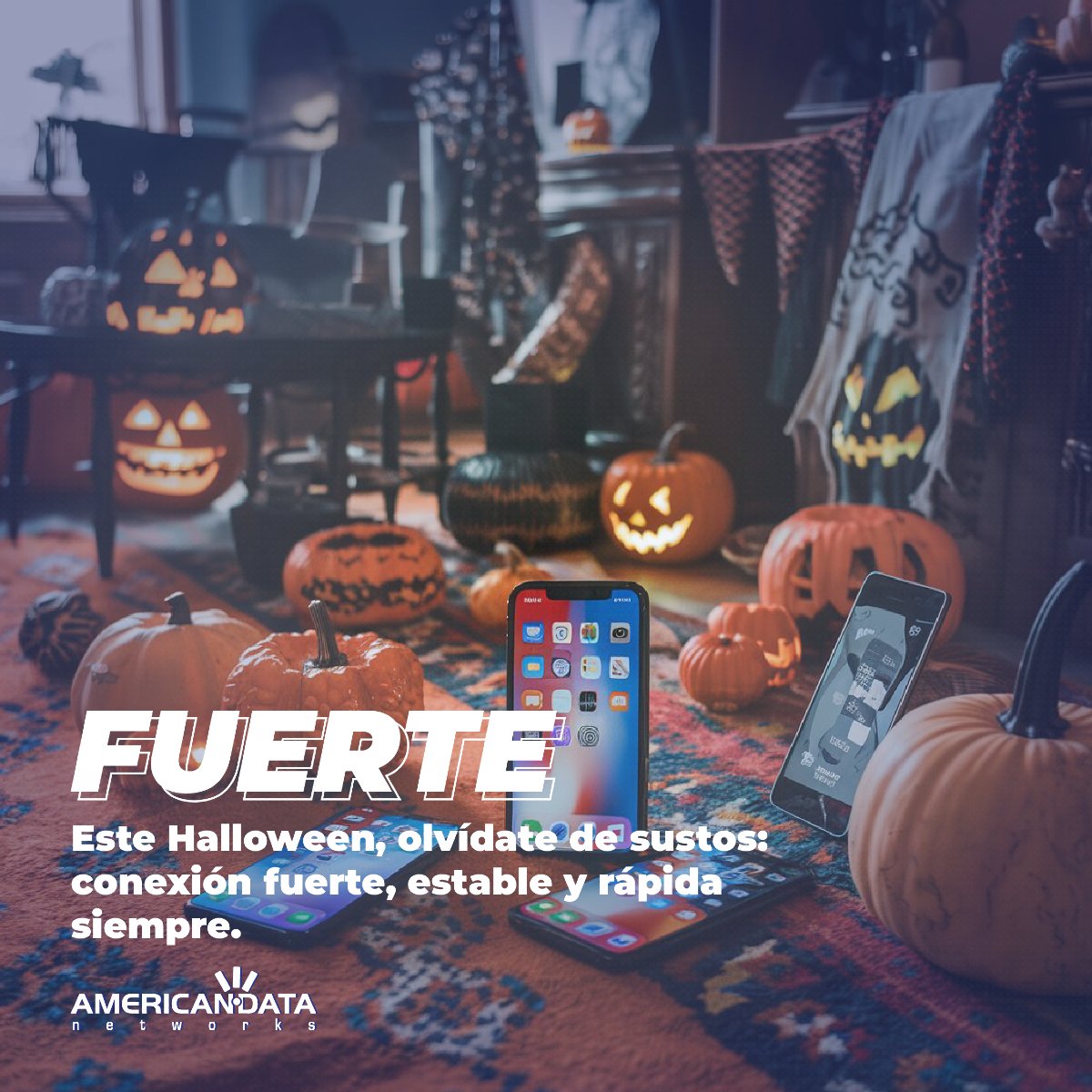 American Data Networks tweet media